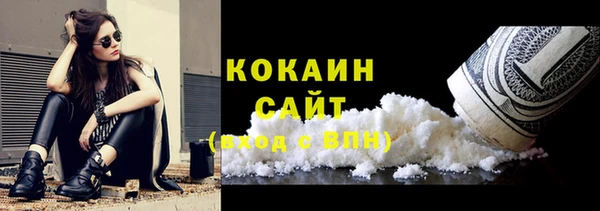 спайс Гусев