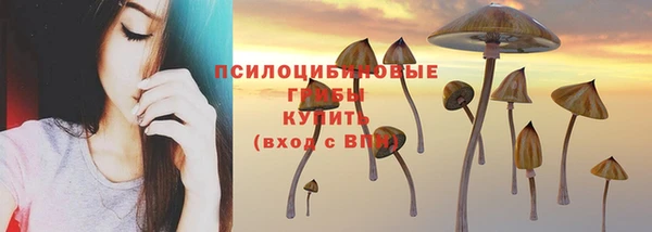 меф Гусь-Хрустальный