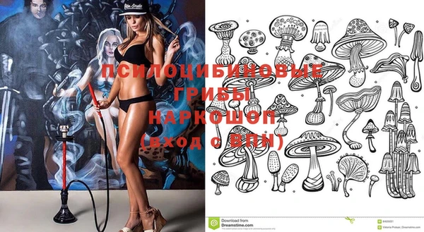 спайс Гусев
