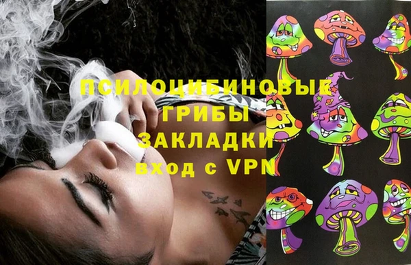 спайс Гусев