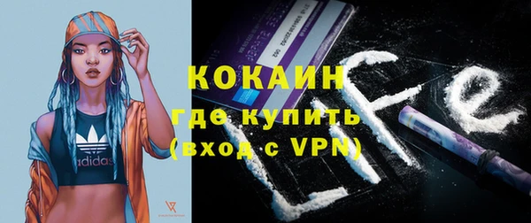спайс Гусев