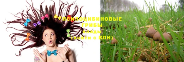 меф Гусь-Хрустальный