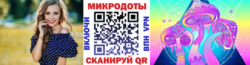 Псилоцибиновые грибы MAGIC MUSHROOMS  где купить наркоту  Мариинский Посад 
